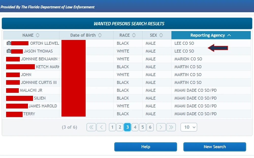 A screenshot from the Florida Department of Law Enforcement's public access system shows wanted person search results, including their names, birthdays, races, sexes, and reporting agencies.